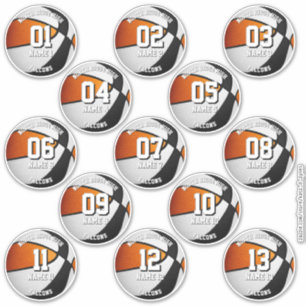 black orange basketball team stickers 13 athletes