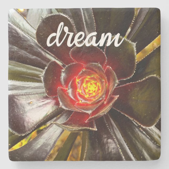 Black Orange Cactus Succulent Photo Dream Script Stone Coaster (Front)
