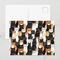 Black Orange White Cats