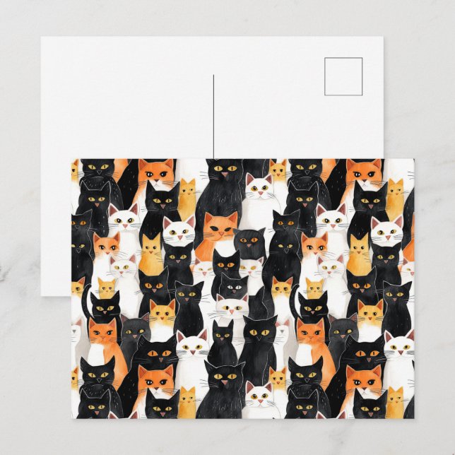 Black Orange White Cats Postcard (Front/Back)