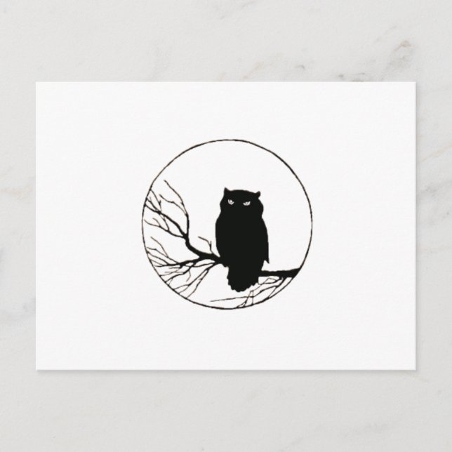 black owl postcard (Front)