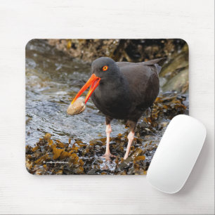 Black Oystercatcher Shorebird Fishing at the Beach Mouse Mat