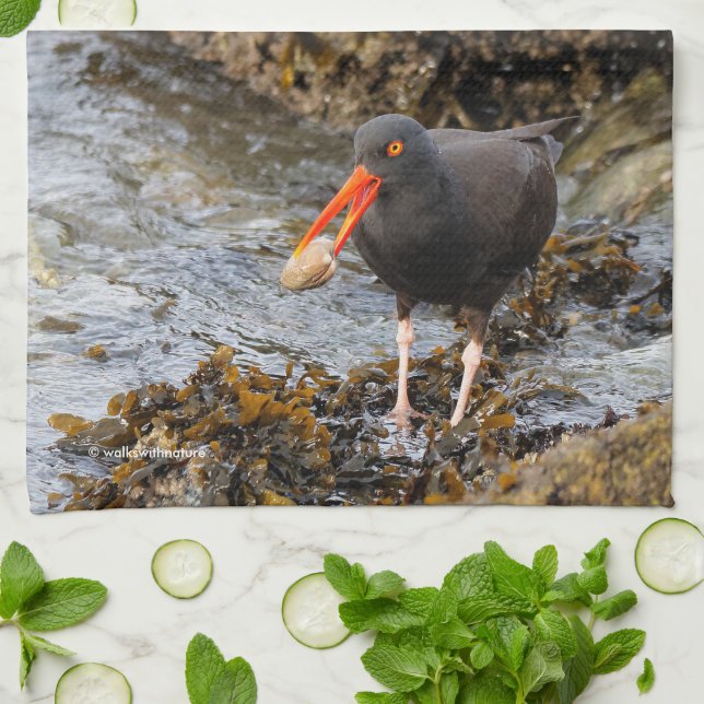 Black Oystercatcher Shorebird Fishing at the Beach Tea Towel (Folded)