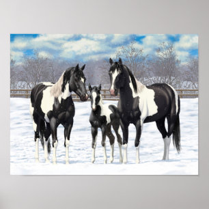 Black Paint Horses In Snow Poster