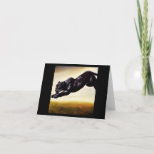 Black Panther (1) Wild Cat