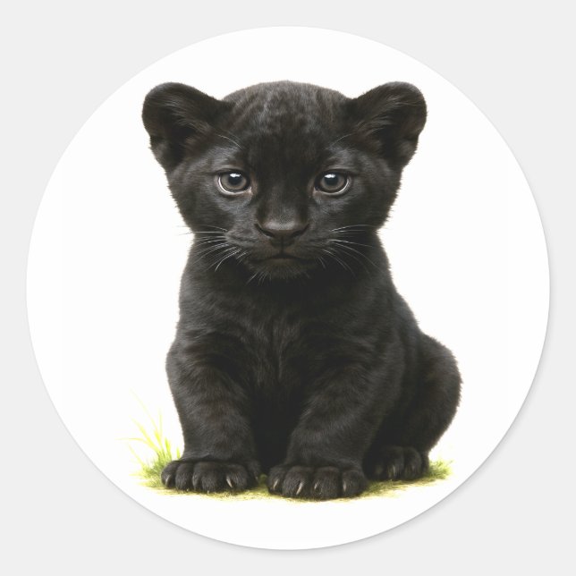 Black Panther Cub with Big Eyes Classic Round Sticker (Front)