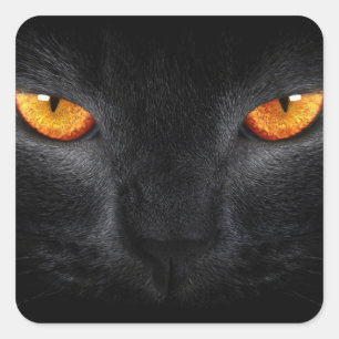 Black Panther Eyes Square Sticker