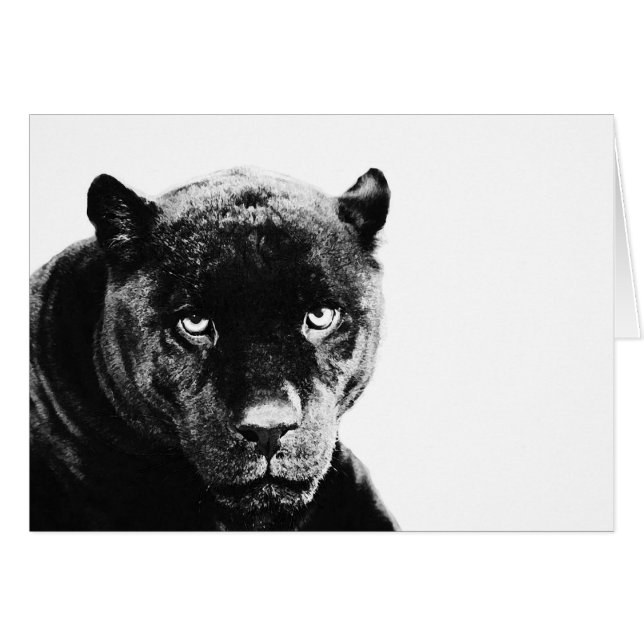 Black Panther Jaguar (Front Horizontal)