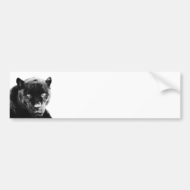 Black Panther Jaguar Bumper Sticker (Front)