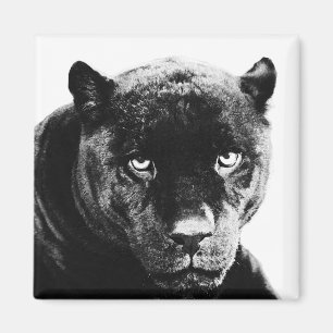 Black Panther Jaguar Magnet