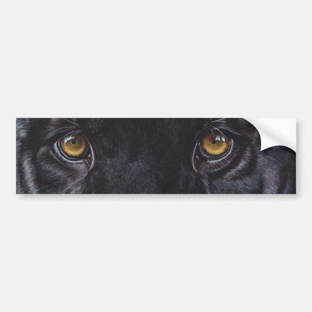 Black panther leopard eyes bumper sticker (Front)