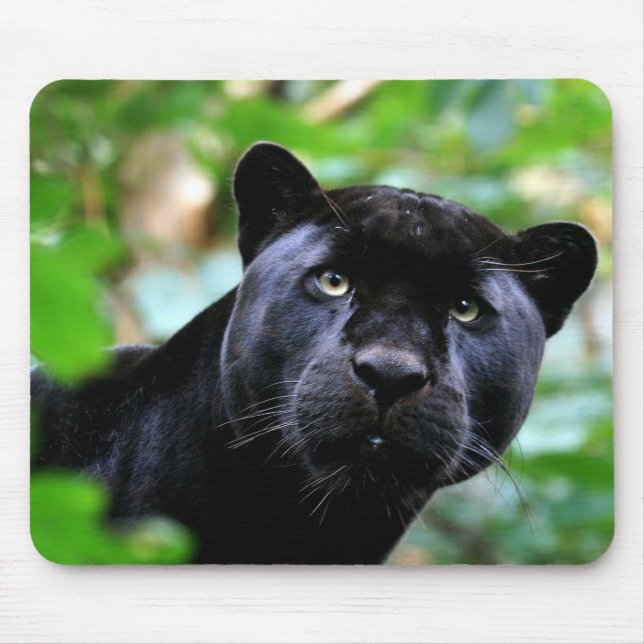Black Panther Macro Mouse Mat (Front)