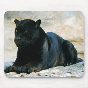 Black panther mouse mat