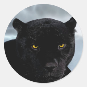 Black Panther Panthera Classic Round Sticker