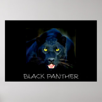Black Panther Poster