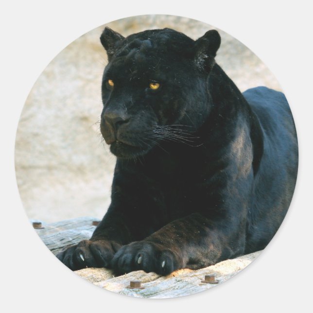 Black panther sticker (Front)