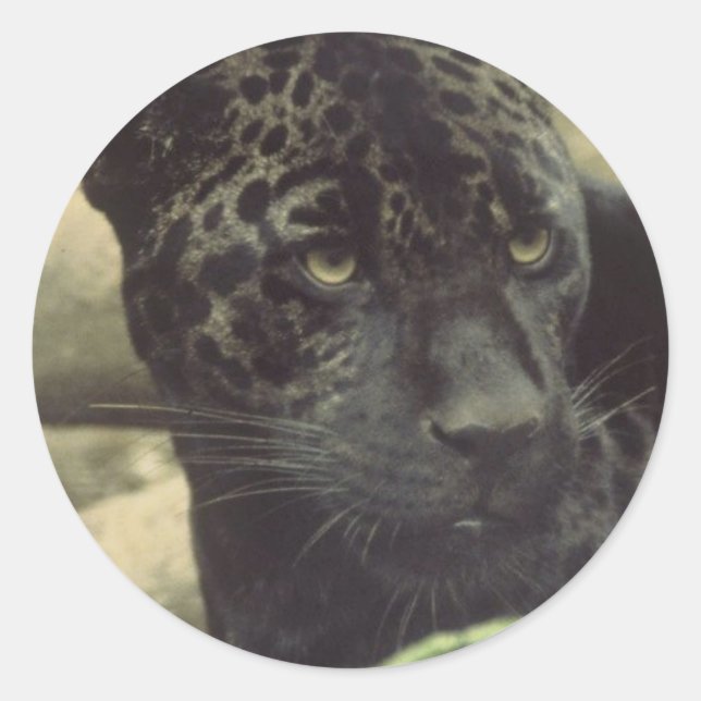 Black Panther Stickers (Front)