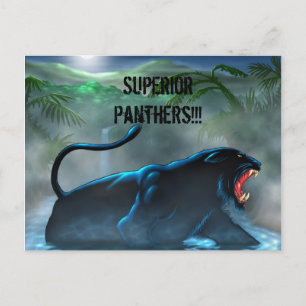 black-panther, Superior Panthers!!! Postcard