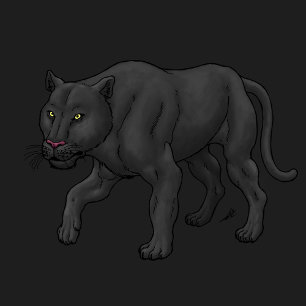 Black Panther T-Shirt