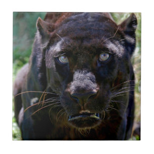 Black Panther Tile