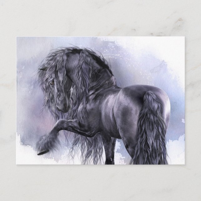 Black Pearl Postcard (Front)