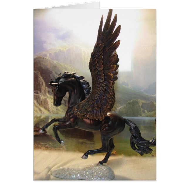 Black Pegasus (Front)