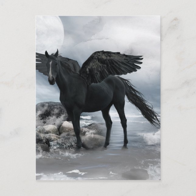 black Pegasus horse Postcard (Front)