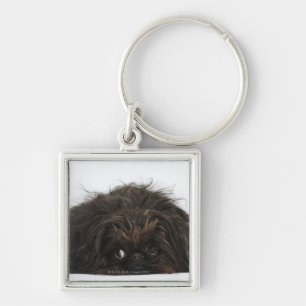 Black Pekingese dog lying down Key Ring