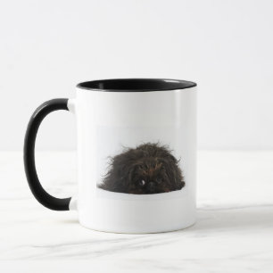 Black Pekingese dog lying down Mug