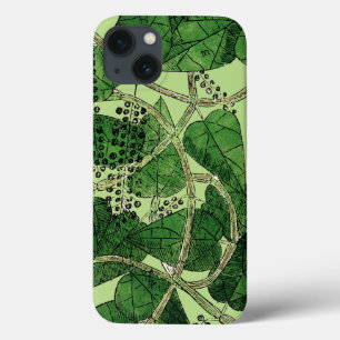 Black Pepper Plant, 1578 iPhone 13 Case