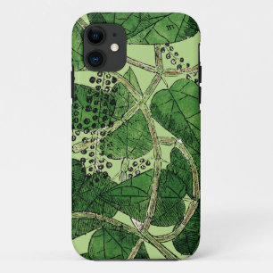 Black Pepper Plant, 1578 iPhone 11 Case