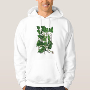 Black Pepper Plant, 1578 Hoodie