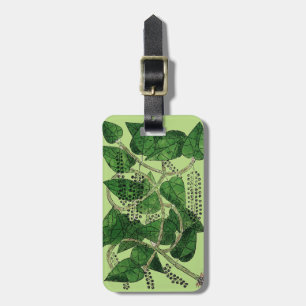 Black Pepper Plant, 1578 Luggage Tag