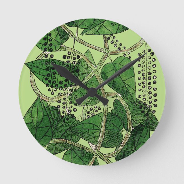 Black Pepper Plant, 1578 Round Clock (Front)