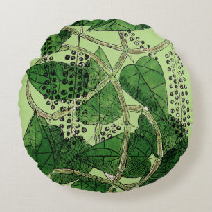 Black Pepper Plant, 1578 Round Cushion