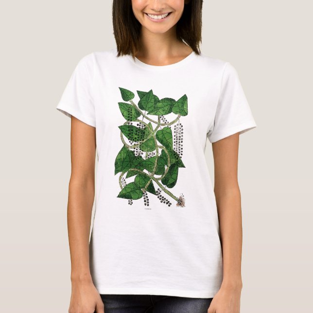 Black Pepper Plant, 1578 T-Shirt (Front)
