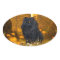 Black persian cat Halloween