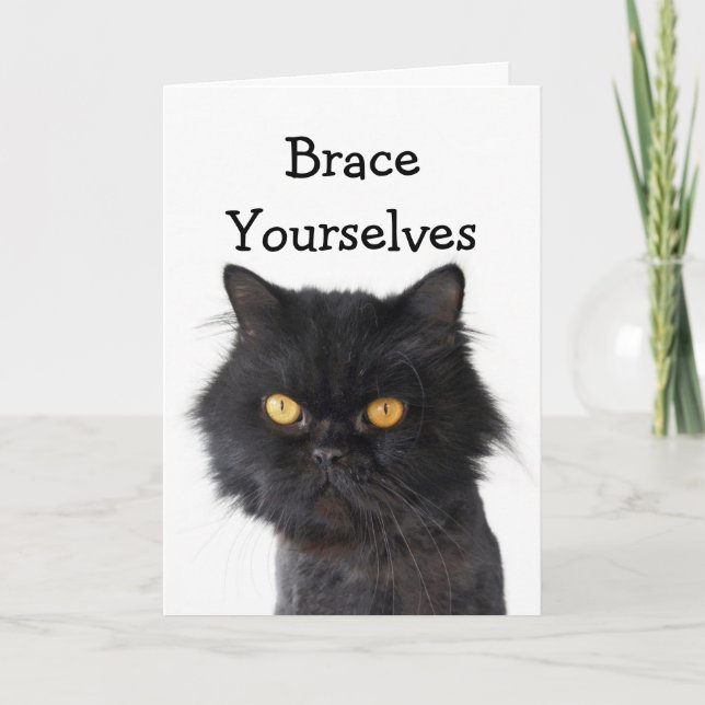 Black Persian Cat Party Invitation (Front)