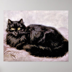 Black Persian Cat Poster