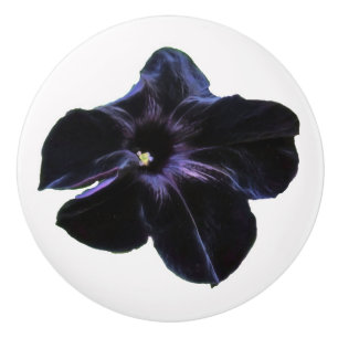 Black Petunia Ceramic Knob