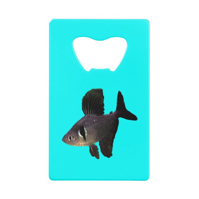 Black Phantom Tetra (Front)