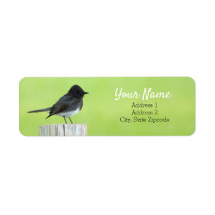 Black Phoebe Bird Address Label