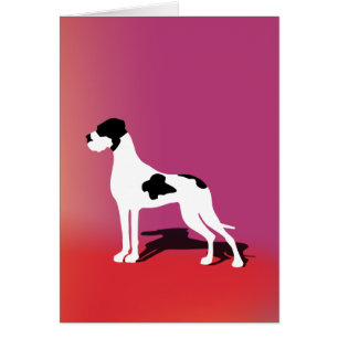 Black Piebald Great Dane