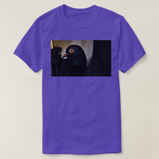 Black Pigeon Orange eyes 1 T-Shirt (Design Front)