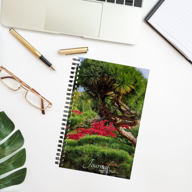 Black Pine Tree and Red Japanese Maple Photo Notebook (In Situ)