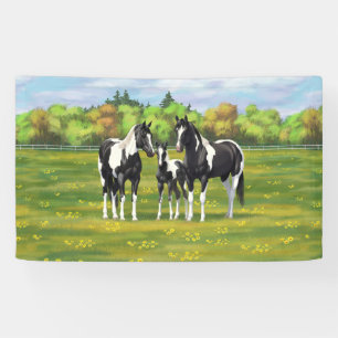 Black Pinto Paint Quarter Horses In Summer Pasture Banner