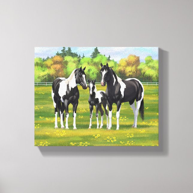 Black Pinto Paint Quarter Horses In Summer Pasture Canvas Print (Front)