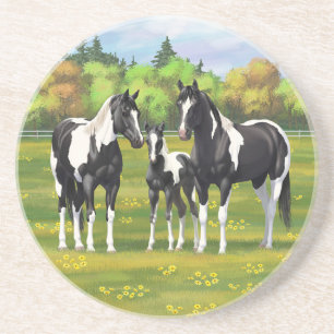 Black Pinto Paint Quarter Horses In Summer Pasture Coaster