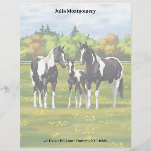 Black Pinto Paint Quarter Horses In Summer Pasture Custom Letterhead
