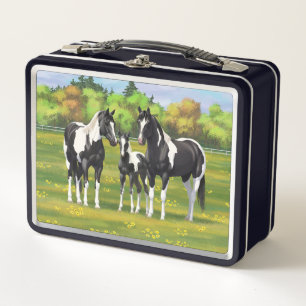 Black Pinto Paint Quarter Horses In Summer Pasture Metal Lunch Box